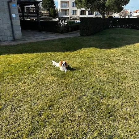 In Paradise View Complex Lägenhet Sozopol