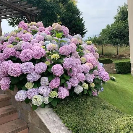 In Paradise View Complex Sozopol